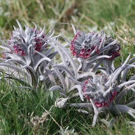 Hotel Ristorante Monte Selva