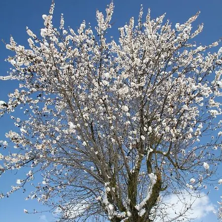 Отель Ristorante Monte Selva 2*