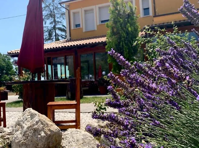 Hotel Ristorante Monte Selva 2*