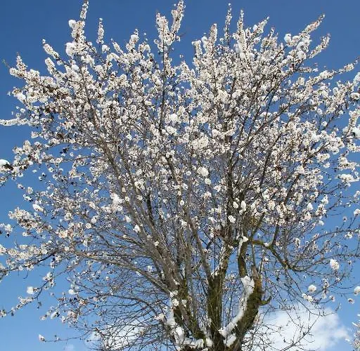 Hotel Ristorante Monte Selva 2*